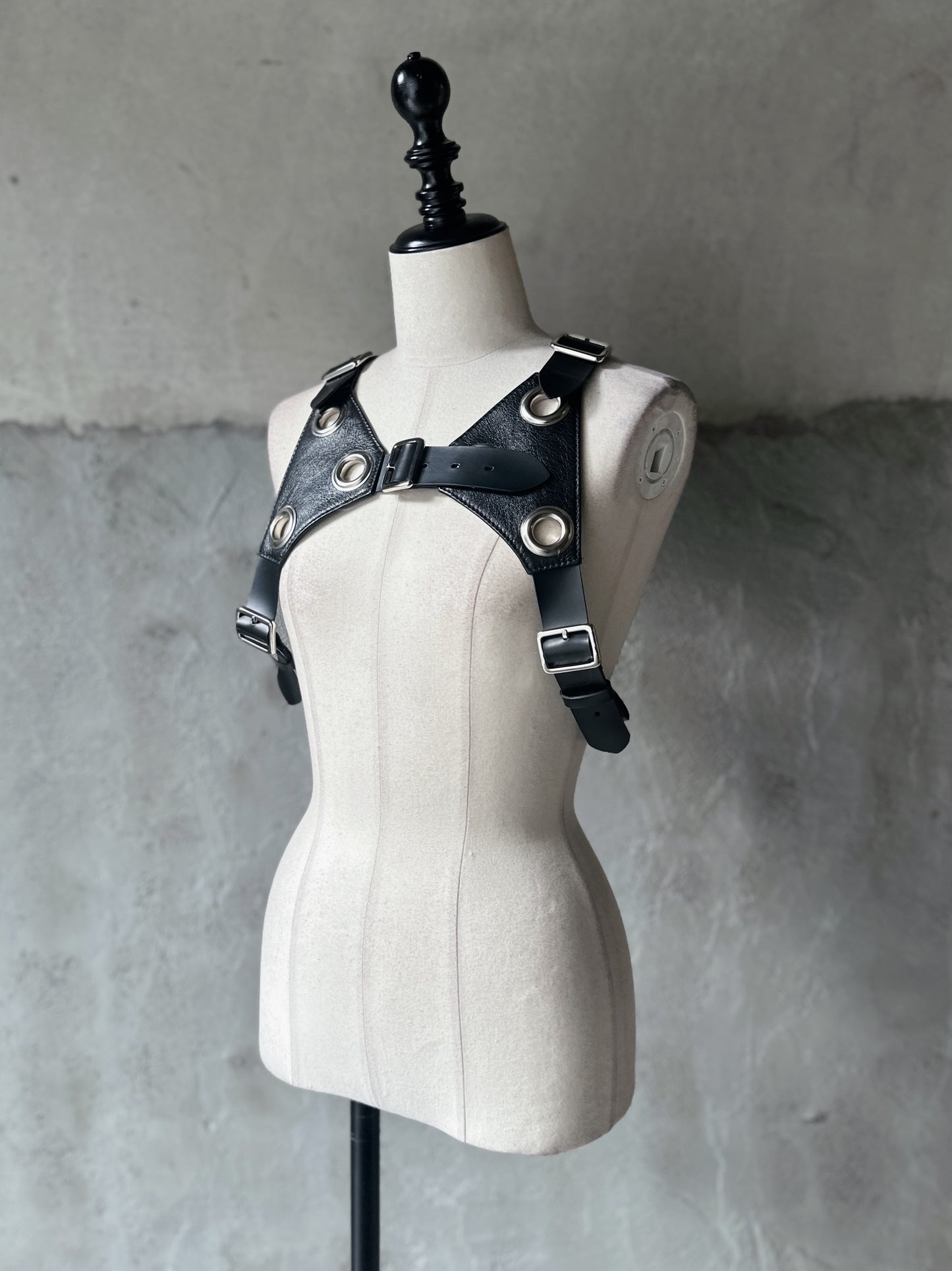 eyelet leather harness